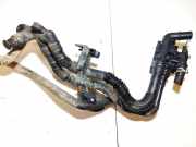 Thermostat Ford Focus, 2004.11 - 2008.06 9647768980,