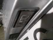 Kennzeichenleuchte Renault Megane, III 2008.11 - 2012.06 Gebraucht,