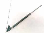 Gasdruckfeder Kofferraum Toyota Yaris, II (XP90) 2005.01 - 2011.01 689500D020, 68950-0D020