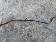 Halteband Kraftstoffbehälter Opel Vectra, B 1995.09 - 2000.09 Gebraucht , Used