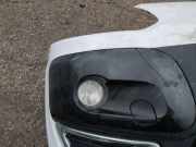 Zier-Schutzleistensatz für Stoßfänger - Vorne Rechts Citroen C3 Picasso, I 2009.02 - 2012.06 Gebraucht,