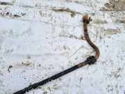 Stabilisator Vorne Peugeot 307, 2000.08 - 2005.06 Gebraucht,