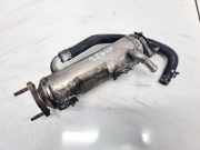 Abgaskühler AGR-Kühler Chevrolet Captiva, 2006.01 - 2011.06 96817829,