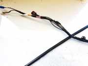 Kabelbaum Tesla Model Y, 2020 --> 161669100c,1616691-00-c