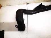 Intercooler Schlauch Seat Alhambra, 1996.08 - 2000.05 7M0145955G, 95vw6f072af