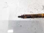 Einspritzdüse Fiat Idea 2003 - 2012 0445110083,