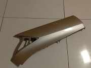 Zier-Schutzleiste Kotflügel - Hinten Linke Ford Grand C-MAX, 2011.01 - 2019 AM51U29613A,AM51-U29613-A