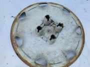 Radkappe Radzierblenden - R14 Citroen Berlingo, I 1996.07 - 2002.11 2107u100, 2107-u100