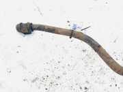 Stabilisator Vorne Renault Scenic, I 1996.01 - 1999.09 Gebraucht,