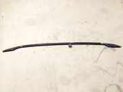 Dachreling Linke Volkswagen Passat, B6 2005.08 - 2010.11 Gebraucht, BMP