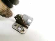 Türscharnier Hinten Volkswagen Passat, B5 1996.08 - 2000.11 Gebraucht , ahu