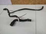 Kühlerschlauch Renault Vel Satis, 2002.06 - 2009.12 Gebraucht,