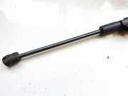 Gasfeder für Motorhaube BMW X5, E70 2006.10 - 2010 Gebraucht,