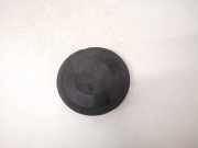 Blende Scheinwerfer - Vorne Renault Scenic, II 2003.06 - 2006.06 153874,