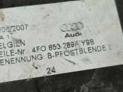 Zierleiste Tür Zier-Schutzleiste - Vorne Linke Audi A6, C6 2005.01 - 2008.10 4F0853289, 4F0 853 289