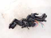 Lampenträger Heckleuchte - Hinten Peugeot 307, 2005.06 - 2008.06 Gebraucht,