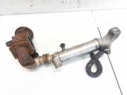 Abgaskühler AGR-Kühler Honda CR-V, III 2006.06 - 2010.06 18720RMAE01,Y114311002 392170