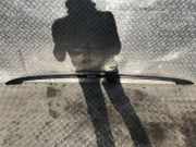 Dachreling Linke Ford Focus, 1998.10 - 2002.10 Gebraucht,