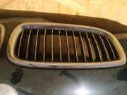 Kühlergrill Frontgrill Kühlergitter BMW 7-Series, E65 E66 E67 E68 2001.11 - 2008.06 right,
