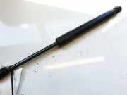 Gasdruckfeder Kofferraum Tesla Model 3, 2017.01 - 2023 109156000B,1091560-00-B 109156000B 3004550580N