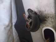 Türfangband Türbremse Türstopper - Vorne Linke Peugeot 807, 2002.06 - 2012.05 Gebraucht ,