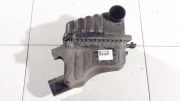 Luftfilterkasten Chevrolet Captiva, 2006.01 - 2011.06 96628880,