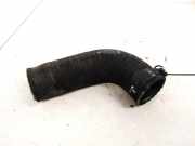 Intercooler Schlauch Renault Laguna, II 2001.03 - 2006.05 Gebraucht ,