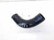Intercooler Schlauch Nissan Primera, P12 2002.01 - 2008.12 Gebraucht,