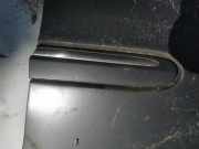 Zier-Schutzleiste Kotflügel - Vorne Rechts Mercedes-Benz w209, 2002.06 - 2009.12 Gebraucht,