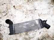 Ladeluftkühler Citroen C8, I 2002.07 - 2008.06 1489396080, 870229hf