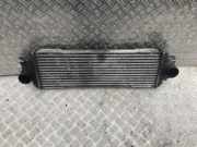 Ladeluftkühler Renault Trafic, X83 2001.03 - 2006.08 7700312903, 91166035