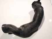 Schlauch für Luftversorgung Peugeot 406, 1995.11 - 1999.03 9618364380,