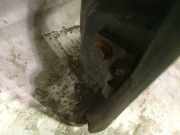 Türscharnier Vorne Fiat Punto, 2005.10 - 2012.03 Gebraucht,