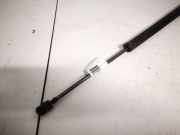 Gasdruckfeder Kofferraum Dodge Journey. 2009.01 - 2014.12 05178293ac,