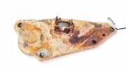 Federteller Citroen C4 Grand Picasso, I 2006.01 - 2013.06 Gebraucht,