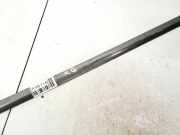 Zierleiste Tür Zier-Schutzleiste - Hinten Linke Mazda 5, CR 2005.02 - 2010.09 Gebraucht,