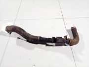 Kühlerschlauch Renault Kangoo, 2008.02 - 2020 8200534296,