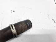 K?hlerschlauch Citroen C4 Picasso, II 2013.06 --> present Gebraucht,