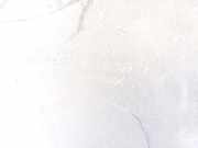 Handschuhfach Citroen C5, I 2004.08 - 2008.02 facelift 9632612977,