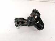 Lampenträger Heckleuchte - Hinten Renault Scenic, I 1996.01 - 1999.09 Gebraucht,