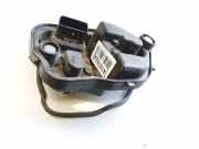 Lampenträger Heckleuchte - Hinten Renault Megane, III 2008.11 - 2012.06 89076149,