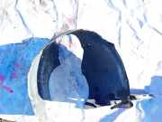 Radhausschale - Vorne Rechts Skoda Roomster, I 2006.01 - 2010.05 5j0809962,