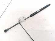 Gasdruckfeder Kofferraum Peugeot 307, 2000.08 - 2005.06 Gebraucht,
