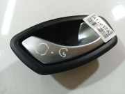 T?rinnengriff - Hinten Rechts Renault Laguna, III 2007.10 - 2010.11 806700005R,806700005R