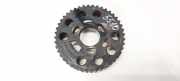 Zahnrad Nockenwelle Volkswagen Passat, B5+ 2000.11 - 2005.05 038109111F,038109111F Awx