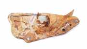 Federteller Citroen C4 Grand Picasso, I 2006.01 - 2013.06 Gebraucht,