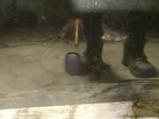 Waschwasserdüse Scheibenreinigung Toyota Corolla Verso, III 2004.05 - 2007 Gebraucht,