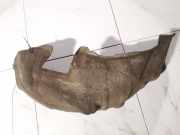 Radhausschale - Hinten Linke Mitsubishi Lancer VIII, 2007 - 2015 Gebraucht,