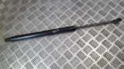 Gasdruckfeder Kofferraum Volkswagen Sharan, 7M 1995.09 - 2000.04 95vw442k08ae,7m0827550d ady