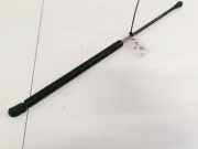 Gasdruckfeder Kofferraum Volkswagen Golf, IV 1997.08 - 2003.10 Gebraucht, akq